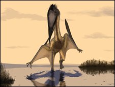 Fossil of Giant Flying Reptile Found