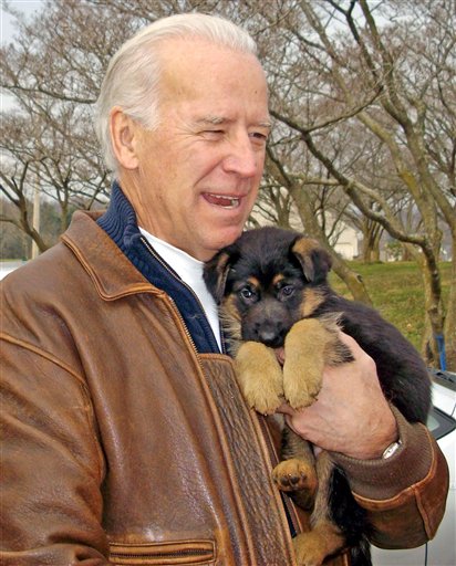 Guess Who Else Is Bringing a Puppy to DC?