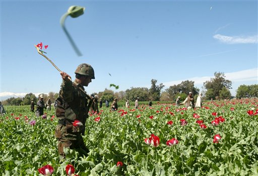 US Troops High on Afghan Heroin