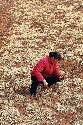 China Battles Worst Drought in 60 Years