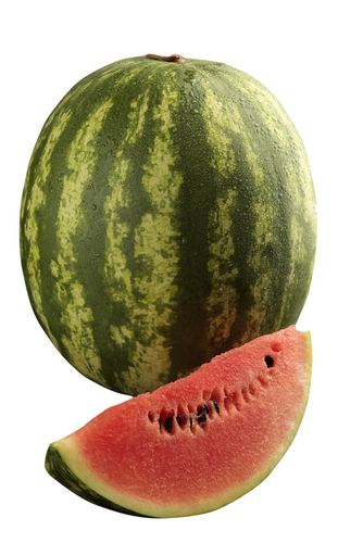 Mayor Sent Email With White House Watermelons