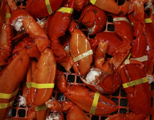 In Uncertain Economy, Maine Lobstermen Stew