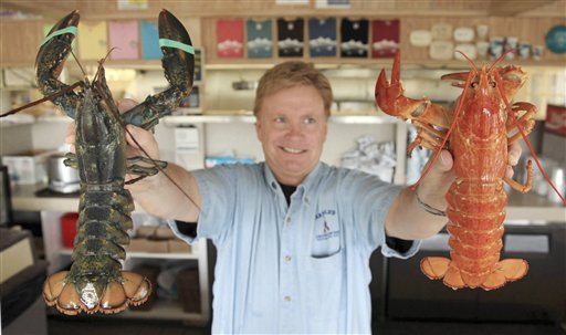 Lobster 'Fiona' Is 1-in 30-Million Phenomenon