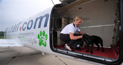 Furry Passengers Take Off Aboard Pet Airways