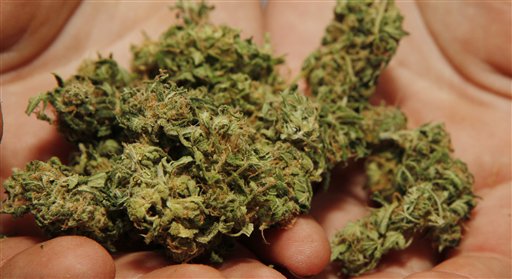 Researchers Discover Why Pot Makes You Forget