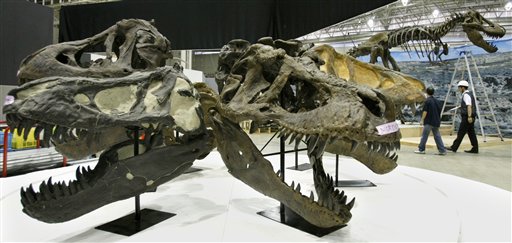 T. Rex 'Mostly Ate Babies'