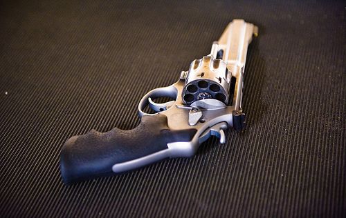 Gun Collector Fatally Shoots Wife, Cats, Self