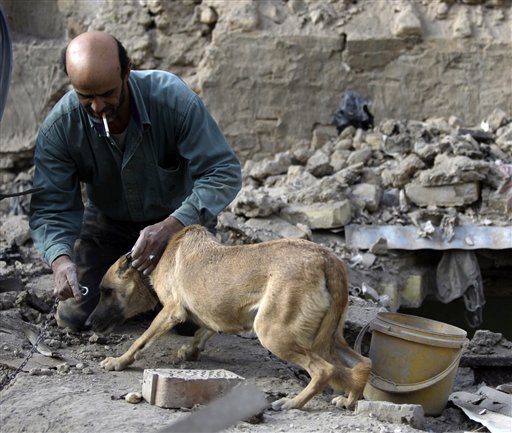 Miracle Dog, Owner Survive Iraqi Blast