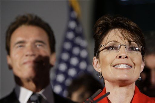Palin: Drop 'Greener Than Thou' Act, Arnold