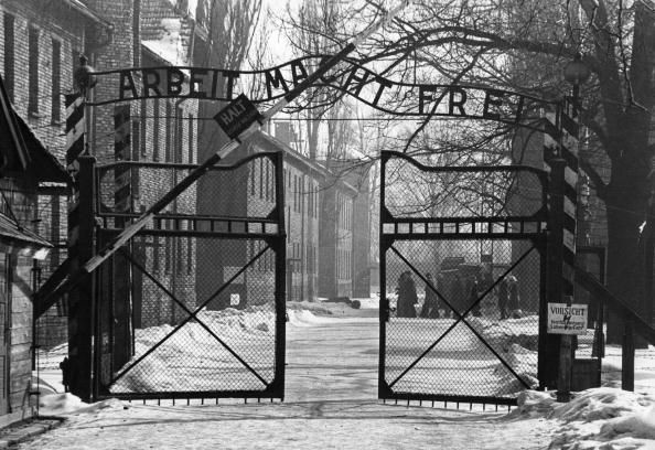 Infamous Auschwitz Sign Stolen