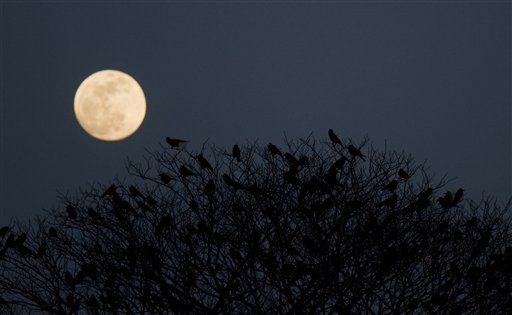 Tonight's Full Moon Will Be Brightest of the Year