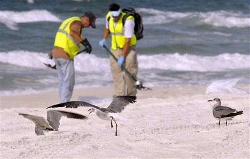 Florida Ads Scrap Promise of 'Clear' Coasts