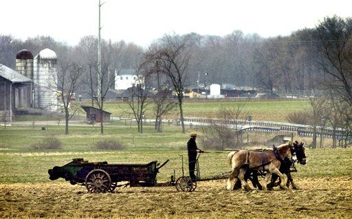 EPA to Amish: Put a Lid on Your Cow Poop