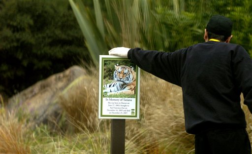 Lawyer: Tiger Area Couldn't Hold a Tabby