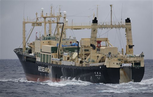 Judge Bans Japanese Whalers in Aussie Waters