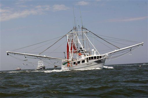 Gulf Shrimpers, Out of a Job, Work for BP