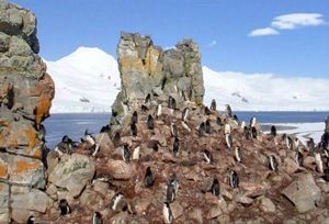 Google Street View Comes to Antarctica