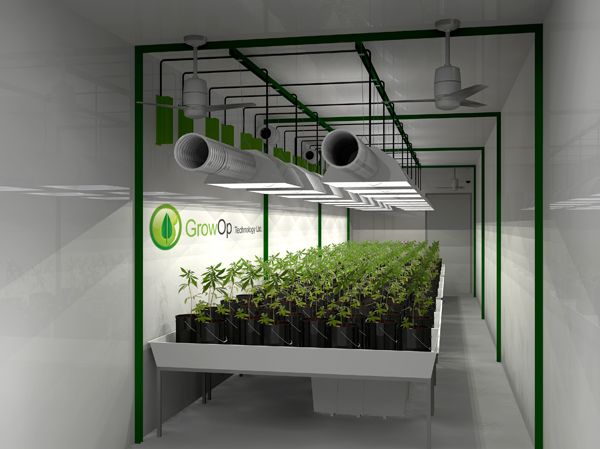 Smokin' Design Features Futuristic Pot Plant