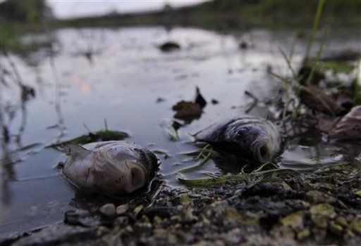 Toxic Sludge Reaches Danube