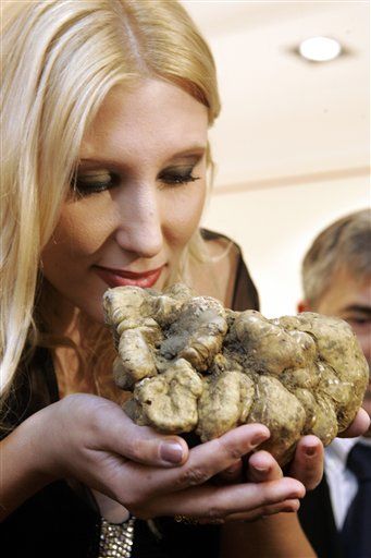 Why White Truffles Cost $2K a Pound