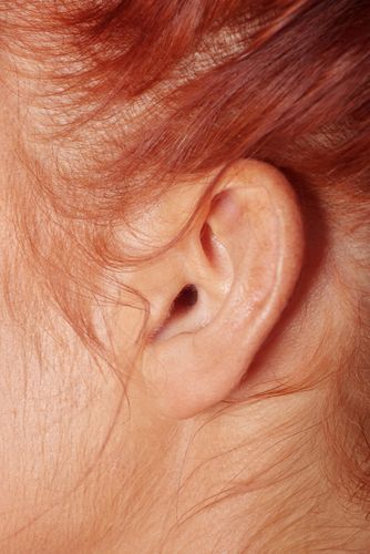 Ears: The New Fingerprints?