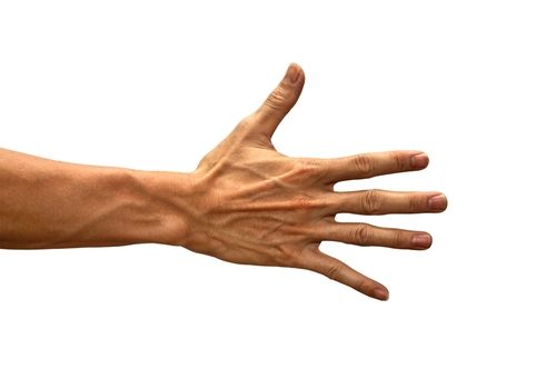Prostate Cancer Predictor: Finger Length