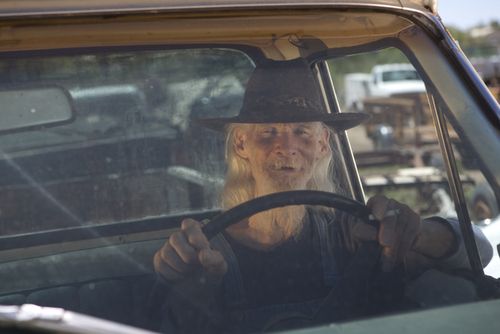 Why Elderly Drive Badly: They See Too Much