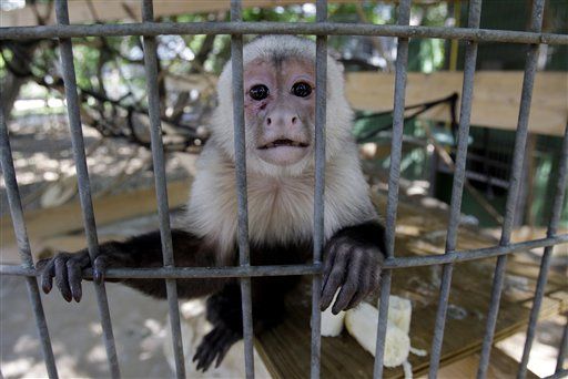 35 Animals Freeze to Death in Mexican Zoo