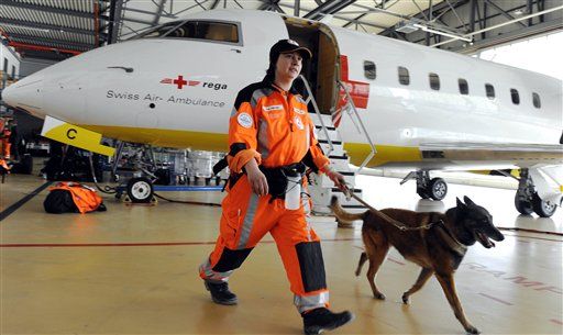 Dog Search Teams Held Up by Japanese Rules