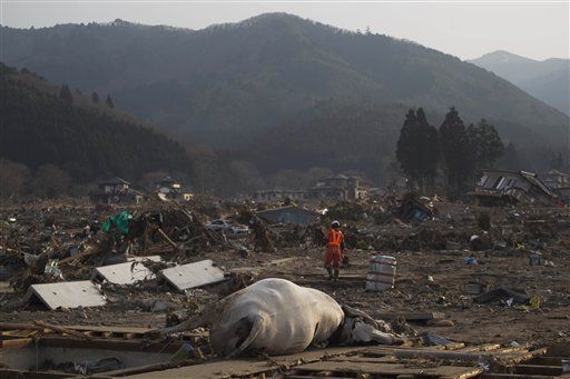 Japan Earthquake: How You Can Help
