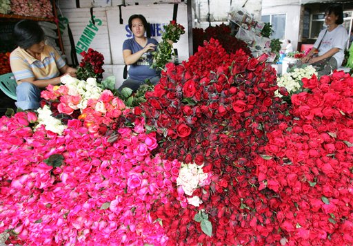 Iranian Owes Wife 124K Roses