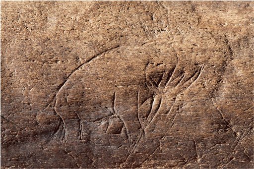 Ancient Mammoth Carving: First Record of Art in North America