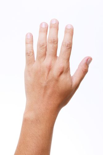 Finger Length Can Point to Size of Man's...