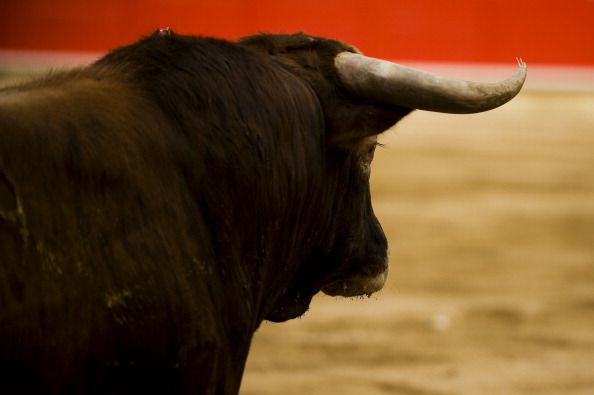 Deadly Bull Kills 3rd Victim in 10 Years