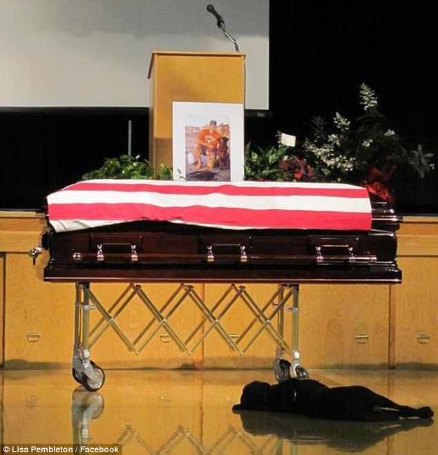 Hero's Dog Guards His Coffin