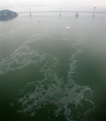 Feds Indict Pilot in SF Oil Spill