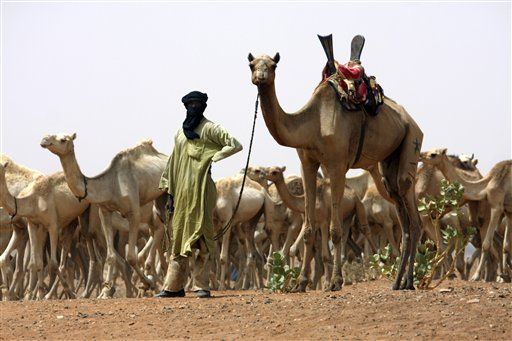 Routed Elsewhere, al-Qaeda Thrives in Sahara