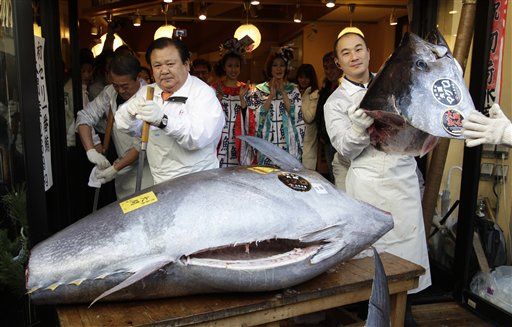 Tuna Sells for Record $736K
