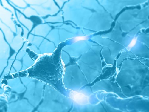 Alzheimer’s Spreads From Cell to Cell