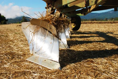 Farming's Future: No More Plows?