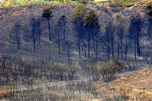 Climate Change Caused Wildfires