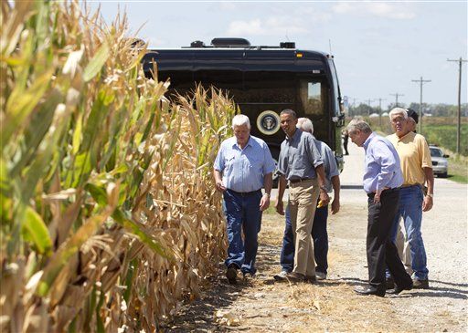 Taxpayers on Hook for $10B as Drought Ravages Crops