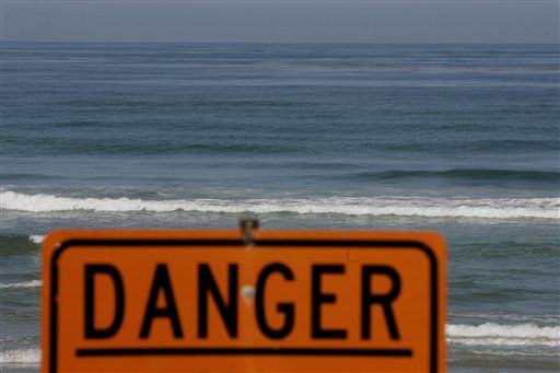 Shark Kills Calif. Surfer