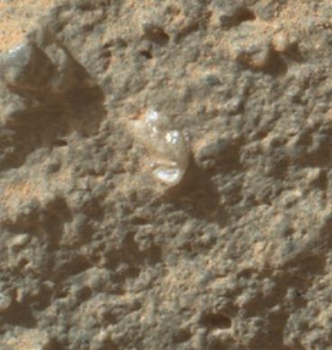 Curiosity Rover Snaps Pic of 'Martian Flower'?