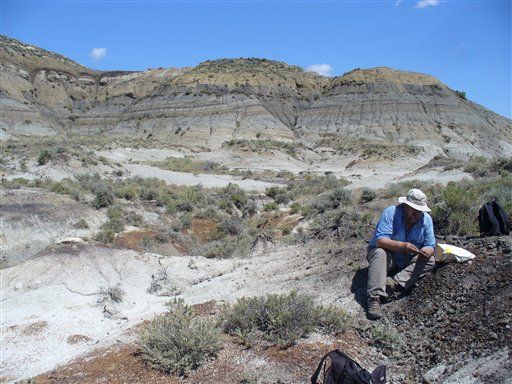 New Study Offers Proof: Asteroid Wiped Out Dinos