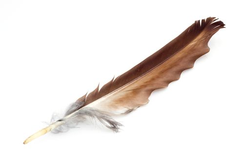 Native American Teen Fined $1K for Graduation Feather