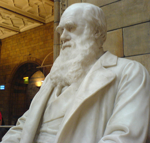 Darwin's Papers Now Online