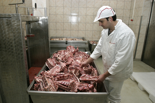 Pork Workers Contract New Nerve Disease
