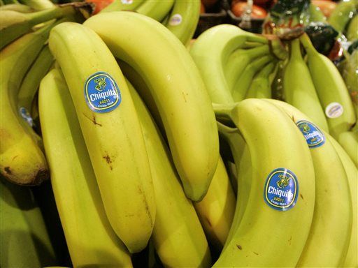 Fungus Threatens Most Common Banana