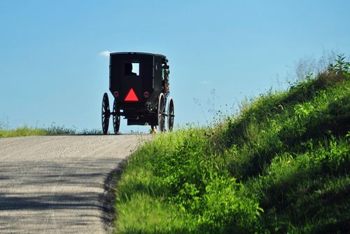Amish Buggy Sought in Hit-and-Run